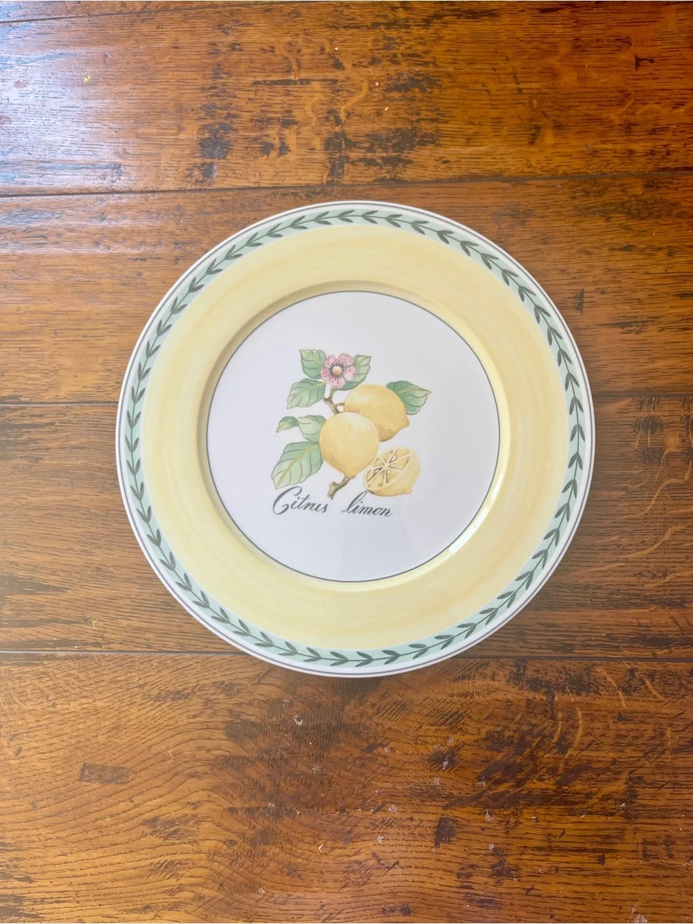 Villeroy & Boch French Garden Fleurence Buffet Platter Green /Citrus